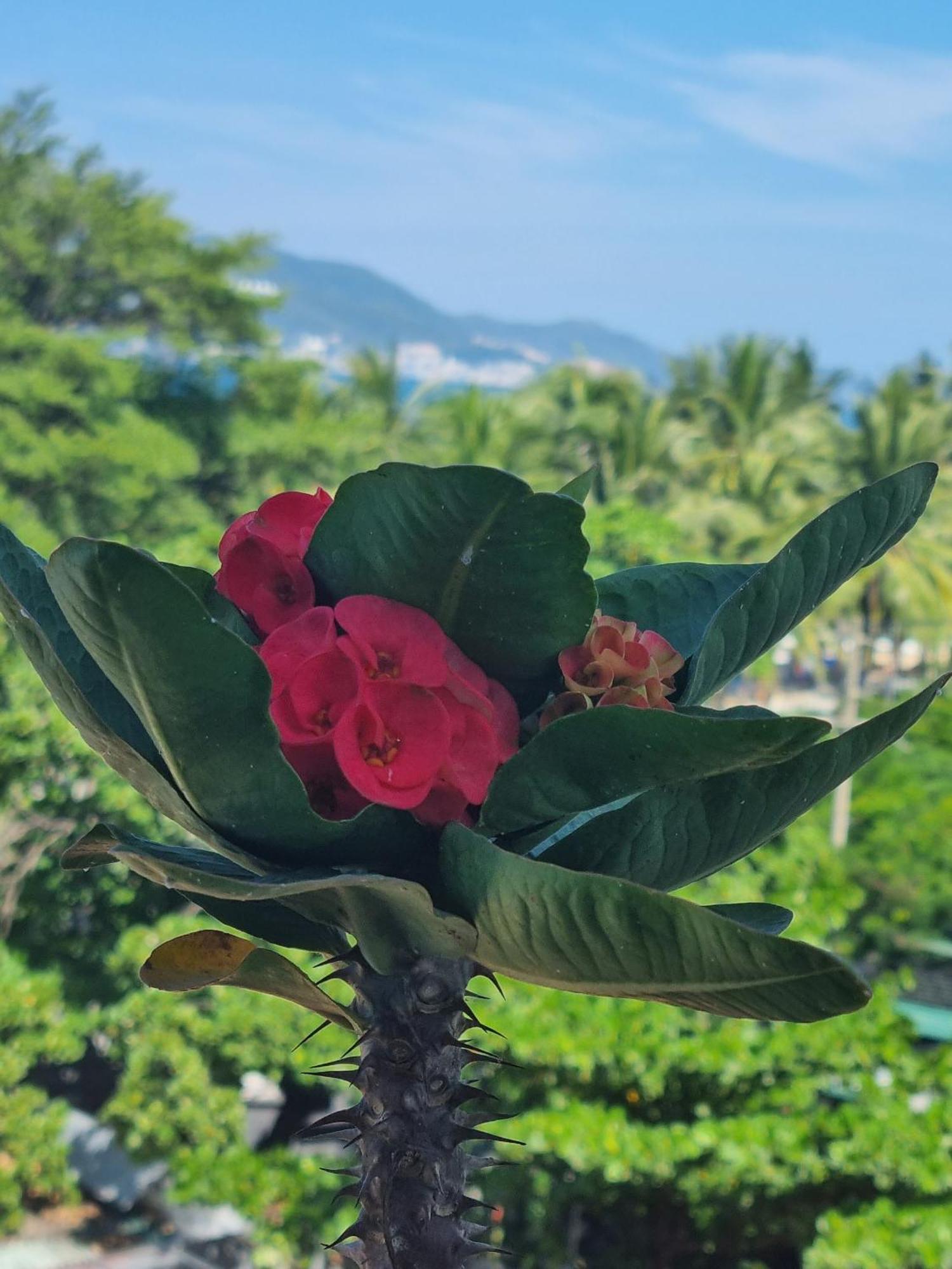 Pho Bien Hotel Nha Trang Esterno foto
